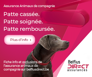 Assurance Belfius Direct